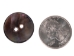 Black Mussel Button: 36L (22.9mm or 0.902") - 1363-36L (Y1J)
