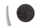 Dentalium Neohexagonum: 1" (100 pieces)  - 1368-100-100 (Y2DC01)