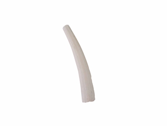 Dentalium Neohexagonum: 1" (100 pieces)  dentalia, tusk shells