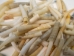 Dentalium Vulgare: Small (25 pieces) - 1369-S-25