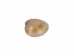 Naa-Set Clam Shell: Small (100 pieces) - 1370-S-100 (Y2J)