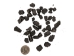 Anthracite Coal: Buck Sort: 1-lb Bag - 1375-BUCK-01LB (Y3D)