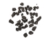 Small Jar of Anthracite Coal: Buck Sort - 1375-BUCK-JAR (Y3D)