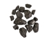 Small Jar of Anthracite Coal: Nut Sort - 1375-NUT-JAR (Y3BC02)