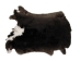 Czech Rex Rabbit: #2 Grade: Natural: Assorted - 142-2NA-AS (Y2H)