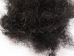 Synthetic Loose Horse Hair: Black (8 oz) - 1427-BL-8 (Y1MC08)