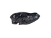 Red Fox Skull: Black Dyed - 15-205B-R (Y2JC01)