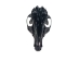 Red Fox Skull: Black Dyed - 15-205B-R (Y2JC01)