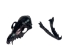 Red Fox Skull: Black Dyed - 15-205B-R (Y2JC01)