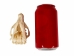 Groundhog/Woodchuck Skull - 15-234 (Y1MC01)