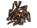Drilled Water Buffalo Tooth: Dyed Dark Brown - 174-102 (Y1NC02)