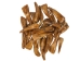 Drilled Water Buffalo Tooth: Antiqued - 174-103 (Y1NC03)