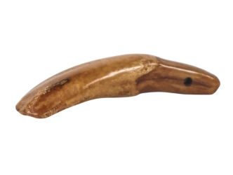 Drilled Water Buffalo Tooth: Antiqued 