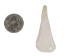 Water Buffalo Tooth: Whitened - 174-111 (Y1NC01)
