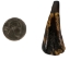 Water Buffalo Tooth: Dyed Dark Brown - 174-112 (Y1NC02)