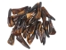 Water Buffalo Tooth: Dyed Dark Brown - 174-112 (Y1NC02)