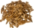Water Buffalo Tooth: Antiqued - 174-113 (Y1N)