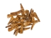 Water Buffalo Tooth: Antiqued - 174-113 (Y1N)