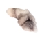 Marble Fox Tail - 18-05-12 (Y2MXX)