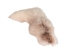Marble Fox Tail - 18-05-12 (Y2MXX)