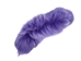 Dyed Fox Tail: Violet - 18-05-VI (Y2P)