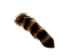 Natural Raccoon Tail: Medium - 18-11-N-M (Y2NRK)