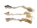 Tanned USA Softened & Oiled Cow Tail: Long Hair 5"+ - 18-35SU-L (Y1H)