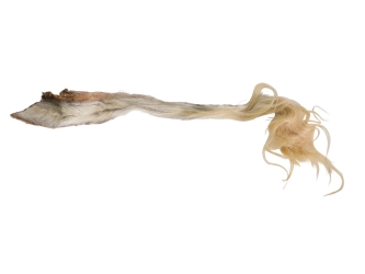 Tanned USA Softened & Oiled Cow Tail: Long Hair 5"+ 