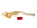 Tanned USA Cow Tail Switch: Long Hair 5"+ - 18-35TSWU-L (Y1HRJ)