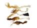 Tanned USA Cow Tail Switch: Long Hair 5"+ - 18-35TSWU-L (Y1HRJ)