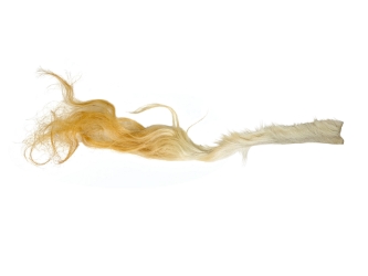 Tanned USA Cow Tail Switch: Long Hair 5"+ 