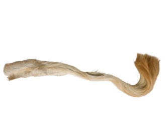 Tanned USA Cow Tail Switch: Short Hair <5" 