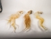 Tanned USA Cow Tail: Long Hair 5"+ - 18-35TU-L (Y1H)