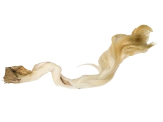 Tanned USA Cow Tail: Long Hair 5"+ 