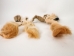 Tanned USA Cow Tail: Short Hair <5" - 18-35TU-S (Y1HRM)