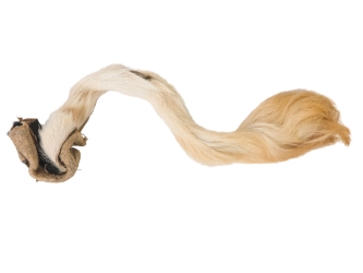Tanned USA Cow Tail: Short Hair <5" 