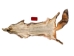 Fashion Quality Red Fox Skin: Assorted - 180-03-FQ-AS (Y1KWR)