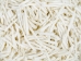 Dentalium vernedei: Large (kg) - 208-KG-L (Y3M)
