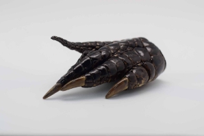 Alligator Foot: Extra Large: 5" to 7" 