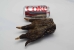 Alligator Foot: Jumbo: 7" to 8.5" - 21-AG-J2 (Y2H)