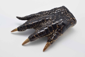 Alligator Foot: Jumbo: 7" to 8.5" 