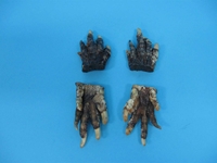 Alligator Foot: Small: 1" to 1.5" 
