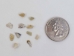 African Abalone Pieces: 3 mm: Natural Color (kg) - 220-TP-03-NA (Y3E)
