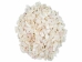 African Abalone Pieces: 5 mm: Creamy White (kg) - 220-TP-05-CR (Y3E)