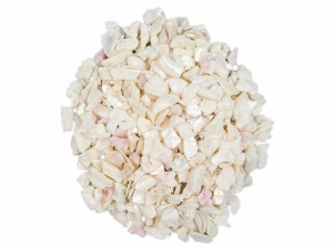 African Abalone Pieces: 5 mm: Creamy White (kg) 