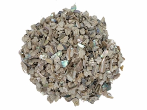 African Abalone Pieces: 5 mm: Natural Color (kg) 