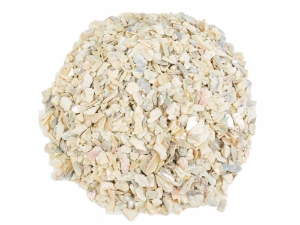 African Abalone Pieces: 10 mm: Bleached White (kg) 