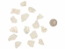 African Abalone Pieces: 10 mm: Creamy White (kg) - 220-TP-10-CR (Y3ERE)