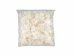 African Abalone Pieces: 10 mm: Creamy White (kg) - 220-TP-10-CR (Y3ERE)