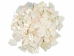 African Abalone Pieces: 10 mm: Creamy White (kg) - 220-TP-10-CR (Y3ERE)